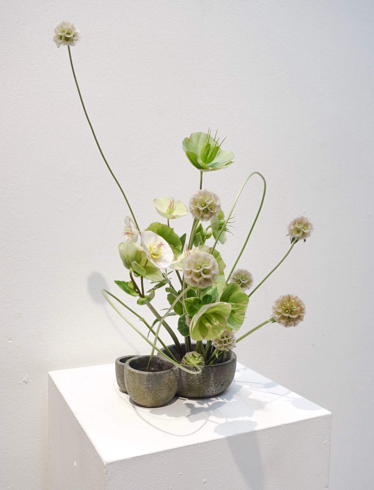 Ikebana aranžmá na míru z prémiových květin – Maison Pétales Praha